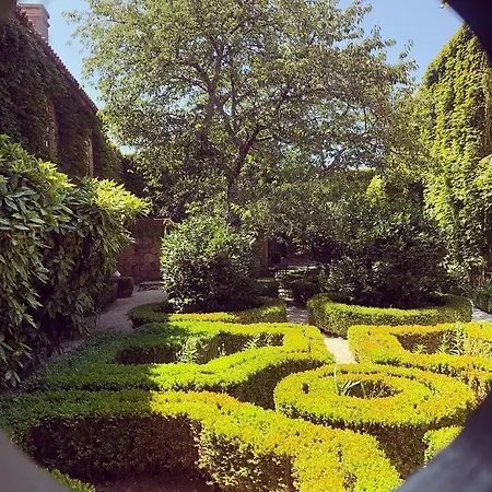 Gospodarstwo agroturystyczne Casa Dos Barros Winery By Vintage Theory *