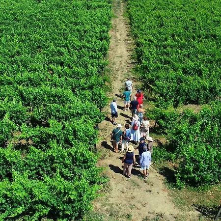 Casa Dos Barros Winery By Vintage Theory