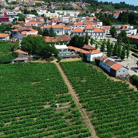 Casa Dos Barros Winery By Vintage Theory *