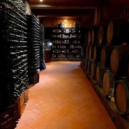 ファームステイ Casa Dos Barros Winery By Vintage Theory