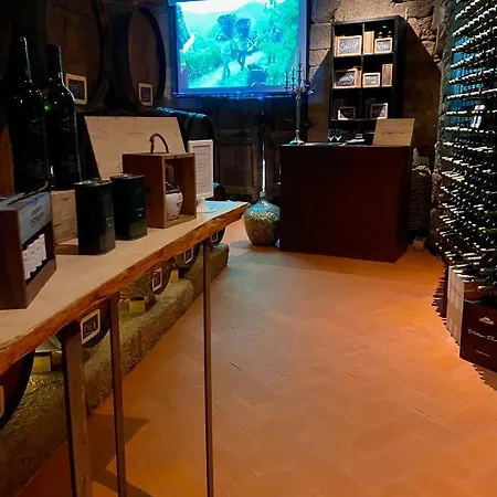 Casa Dos Barros Winery By Vintage Theory *