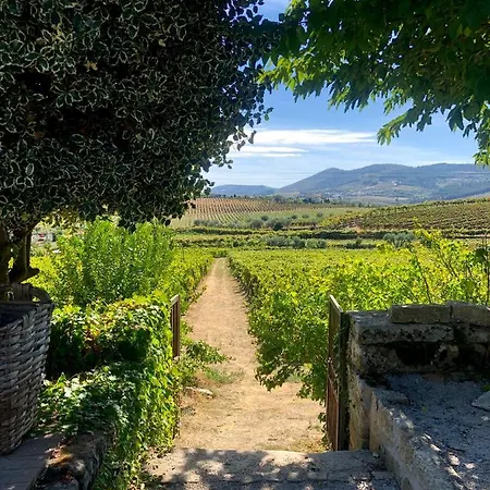 Casa Dos Barros Winery By Vintage Theory Sabrosa