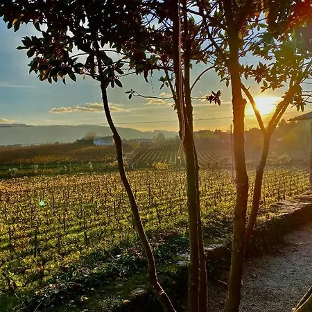 Casa Dos Barros Winery By Vintage Theory Gospodarstwo agroturystyczne