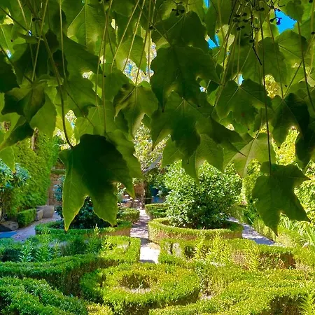 Gospodarstwo agroturystyczne Casa Dos Barros Winery By Vintage Theory Sabrosa