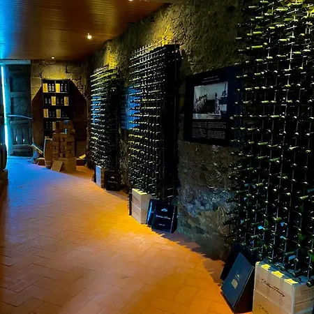 Casa Dos Barros Winery By Vintage Theory