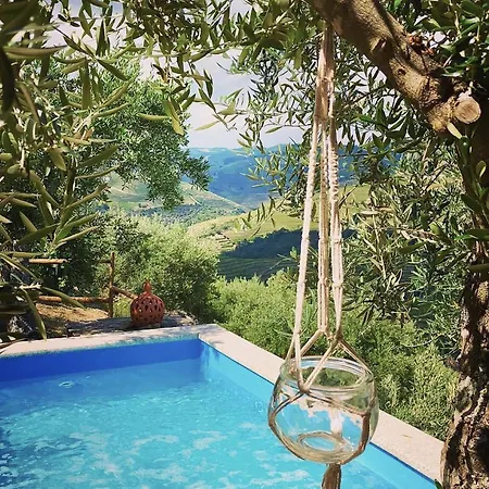 Casa Dos Barros Winery By Vintage Theory *