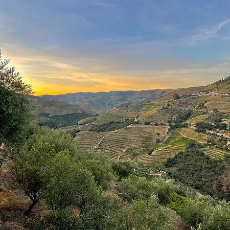 Casa Dos Barros Winery By Vintage Theory Alojamento de Turismo Rural *