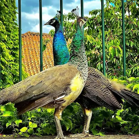 Casa Dos Barros Winery By Vintage Theory *