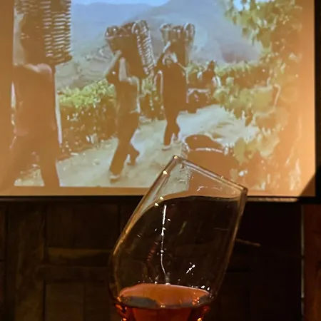 Casa Dos Barros Winery By Vintage Theory Lantgård *