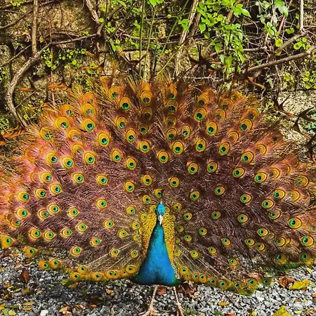 Alojamento de Turismo Rural Casa Dos Barros Winery By Vintage Theory Sabrosa