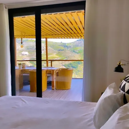 Casa Dos Barros Winery By Vintage Theory Alojamento de Turismo Rural Sabrosa