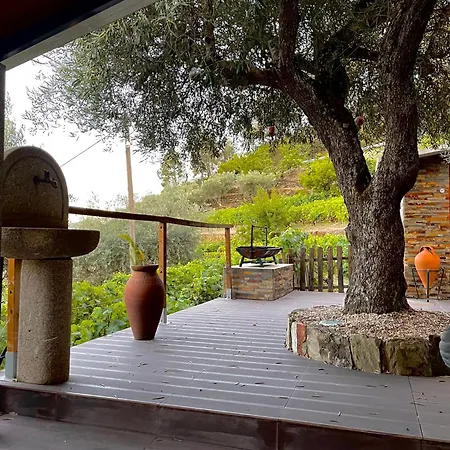 Casa Dos Barros Winery By Vintage Theory