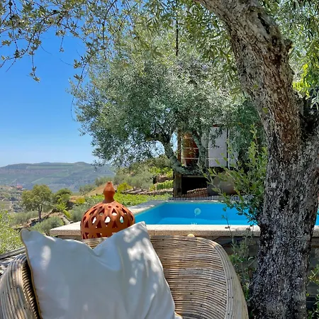 Casa Dos Barros Winery By Vintage Theory