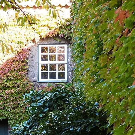 Casa Dos Barros Winery By Vintage Theory * Sabrosa