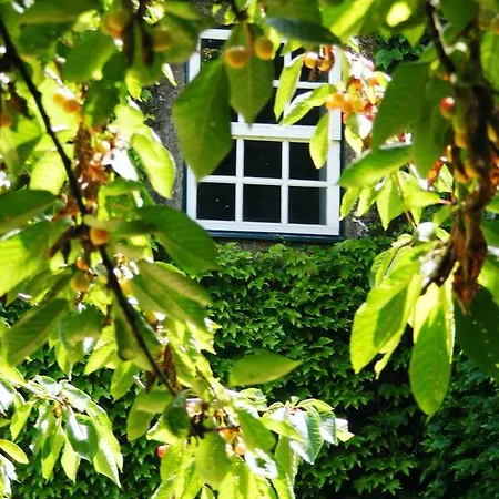 Gospodarstwo agroturystyczne Casa Dos Barros Winery By Vintage Theory *