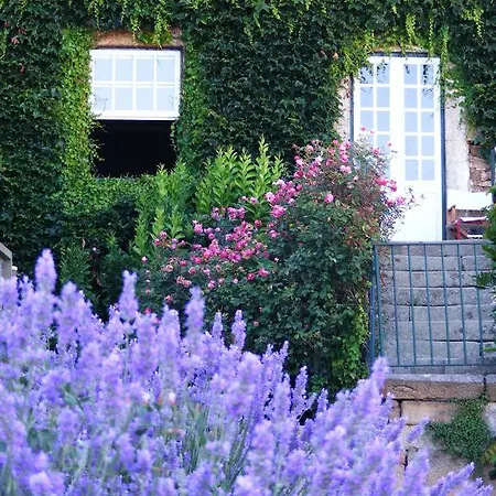 Alojamento de Turismo Rural Casa Dos Barros Winery By Vintage Theory *