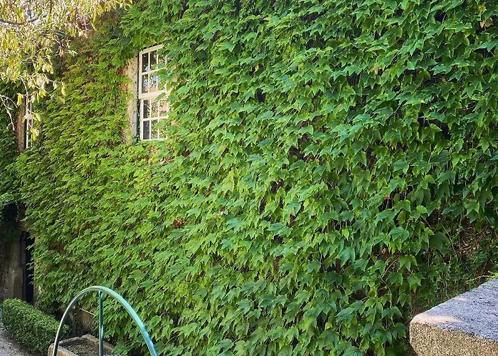 Casa Dos Barros Winery By Vintage Theory Sabrosa