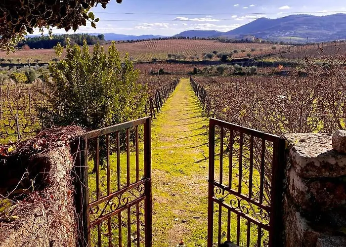 Casa Dos Barros Winery By Vintage Theory Sabrosa