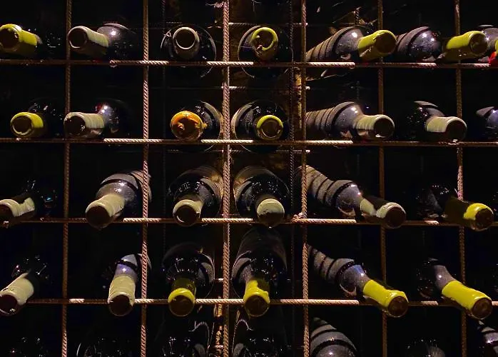 Farma Casa Dos Barros Winery By Vintage Theory Sabrosa