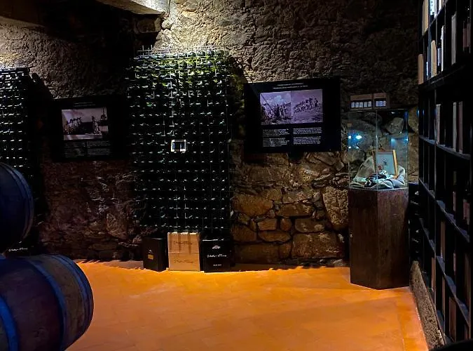 Casa Dos Barros Winery By Vintage Theory * Sabrosa