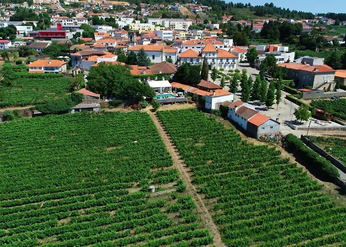 Casa Dos Barros Winery By Vintage Theory *