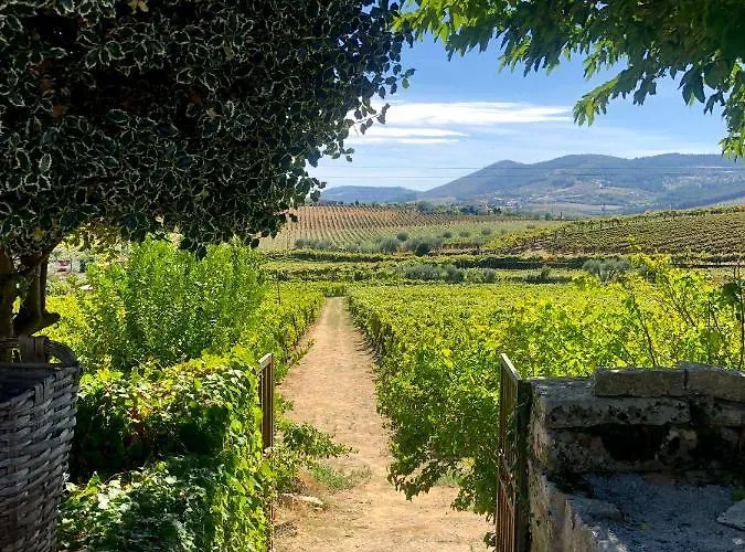 Casa Dos Barros Winery By Vintage Theory Sabrosa