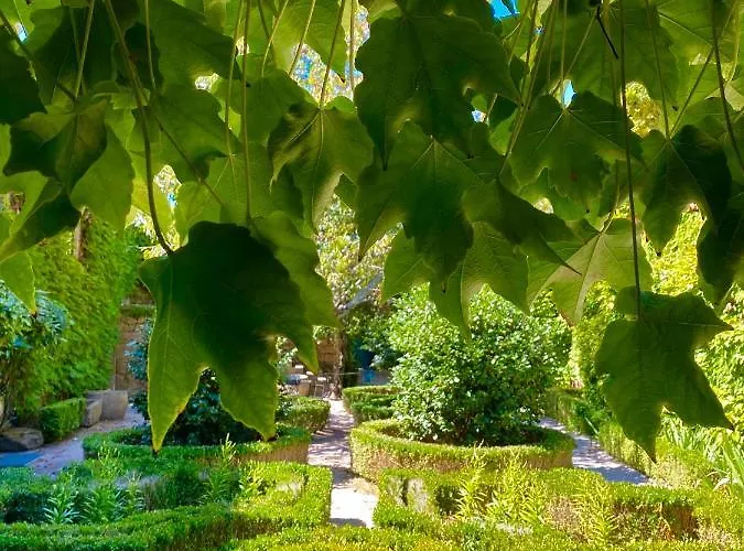 Farm stay Casa Dos Barros Winery By Vintage Theory Sabrosa