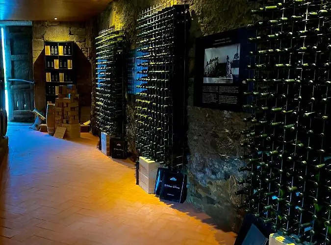 Casa Dos Barros Winery By Vintage Theory