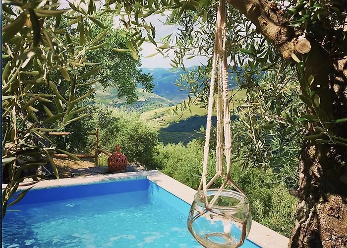 Casa Dos Barros Winery By Vintage Theory *