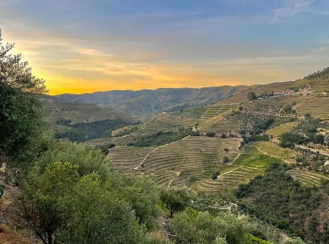 Casa Dos Barros Winery By Vintage Theory Lantgård *