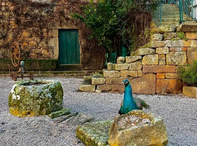 Κατάλυμα σε φάρμα Casa Dos Barros Winery By Vintage Theory Sabrosa