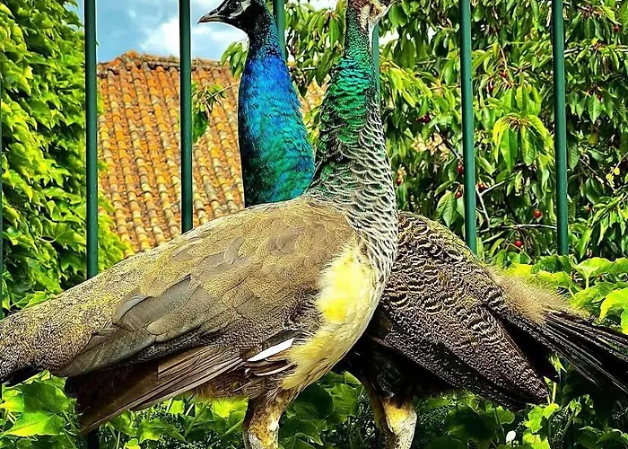 Casa Dos Barros Winery By Vintage Theory *