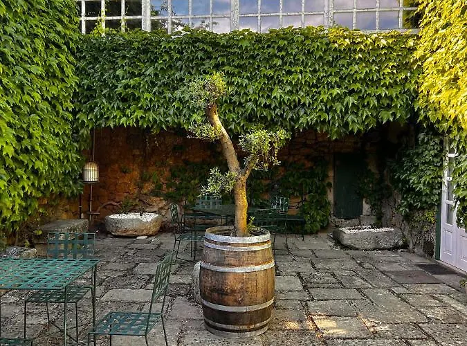 Casa Dos Barros Winery By Vintage Theory *