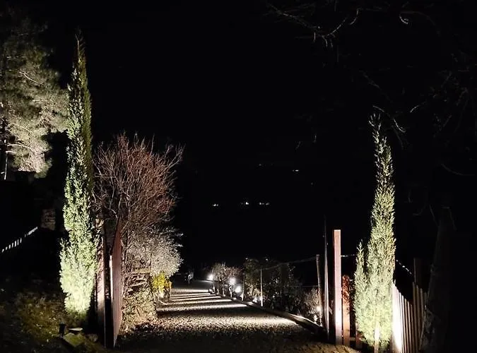 Casa Dos Barros Winery By Vintage Theory 사브로사