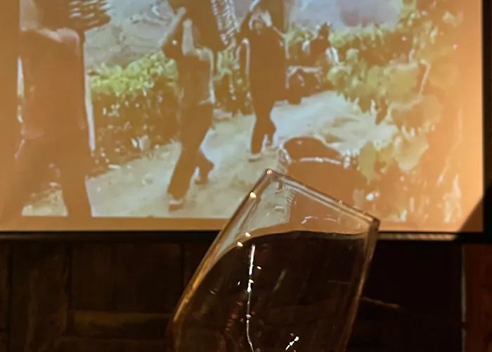 Casa Dos Barros Winery By Vintage Theory Lantgård *