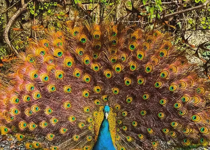 Lantgård Casa Dos Barros Winery By Vintage Theory Sabrosa