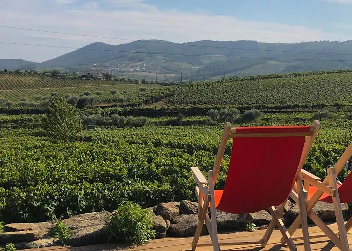 Casa Dos Barros Winery By Vintage Theory Lantgård