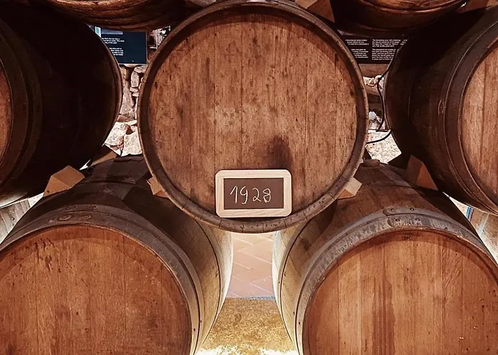 Casa Dos Barros Winery By Vintage Theory 사브로사