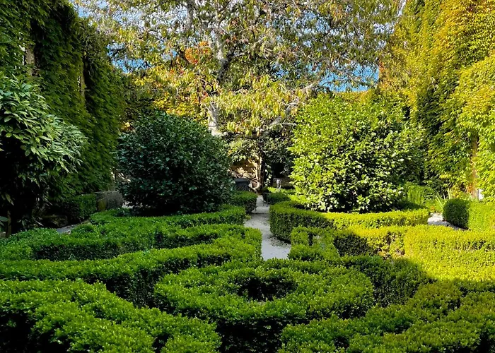 Farma Casa Dos Barros Winery By Vintage Theory Sabrosa