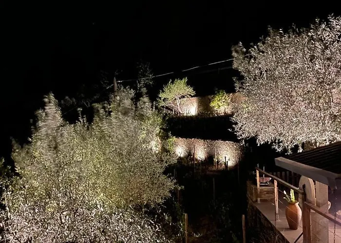 Casa Dos Barros Winery By Vintage Theory 팜스테이 사브로사