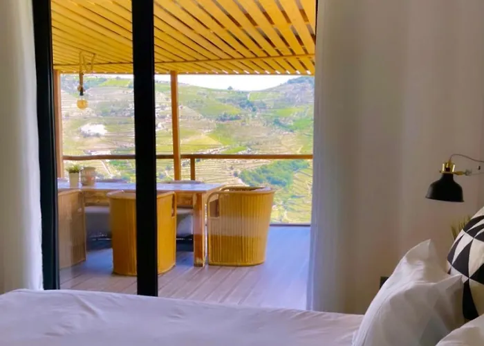 Casa Dos Barros Winery By Vintage Theory Lantgård Sabrosa