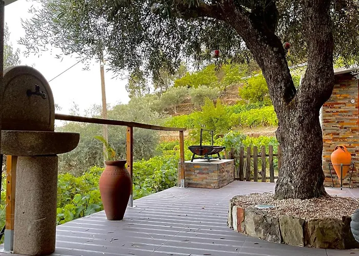 Casa Dos Barros Winery By Vintage Theory