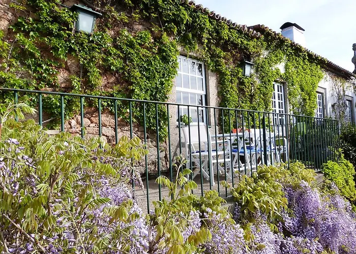 Farma Casa Dos Barros Winery By Vintage Theory Sabrosa