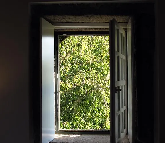 Farma Casa Dos Barros Winery By Vintage Theory Sabrosa