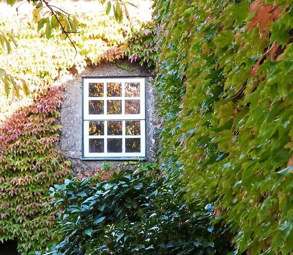 Casa Dos Barros Winery By Vintage Theory * Sabrosa