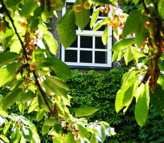 Farma Casa Dos Barros Winery By Vintage Theory *