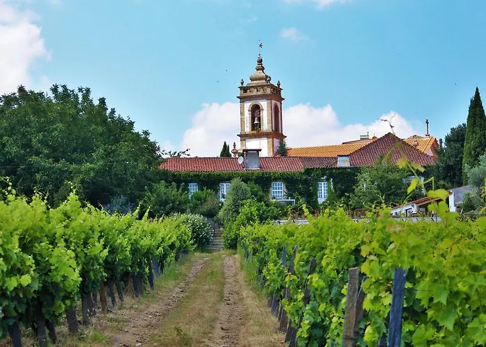 Casa Dos Barros Winery By Vintage Theory