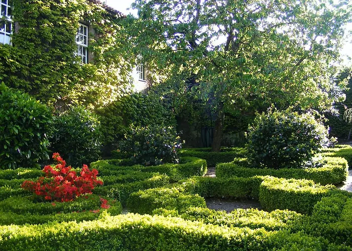 Casa Dos Barros Winery By Vintage Theory Lantgård *