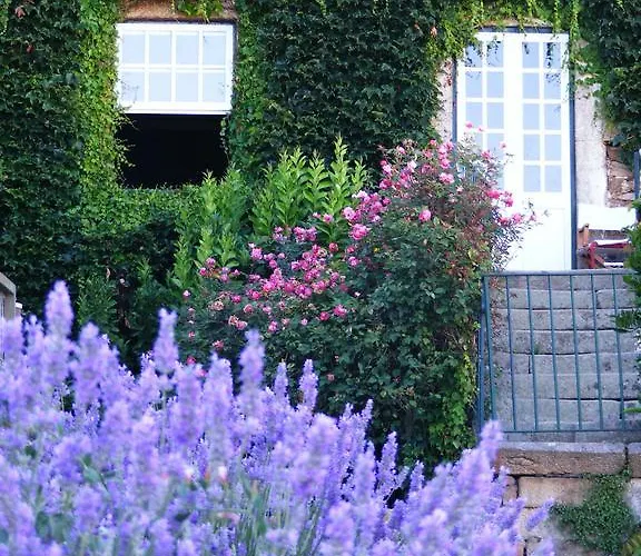 Farma Casa Dos Barros Winery By Vintage Theory *